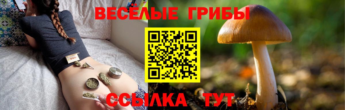 Дедовск  Псилоцибиновые грибы Magic Shrooms  Вход с VPN  магазин продажи наркотиков  Псилоцибиновые грибы мицелий 